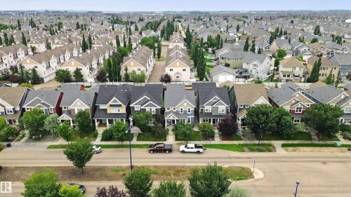 Modern residential neighborhood featuring varied architectural styles and mature street trees - 7603 Summerside Grande Boulevard Sw, Edmonton, AB - Outdoor