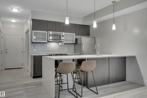 #105 10030 83 Av Nw, Edmonton, AB - Indoor Photo Showing Kitchen With Upgraded Kitchen