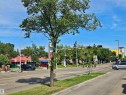 #207 11710 87 Av Nw, Edmonton, AB  - Outdoor 