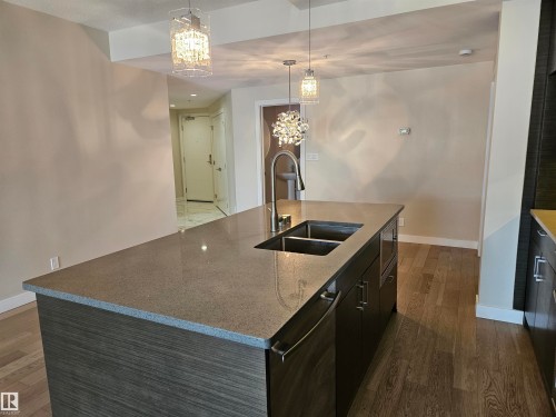 #207 11710 87 Av Nw, Edmonton, AB - Indoor Photo Showing Kitchen With Double Sink