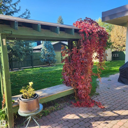 6308 131 Street Nw, Edmonton, AB - Outdoor With Deck Patio Veranda