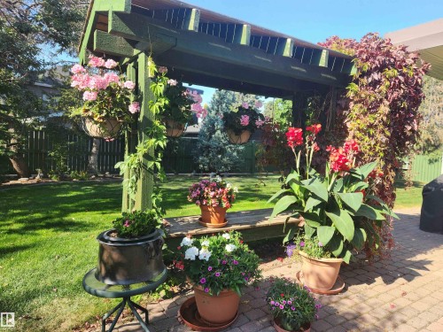 6308 131 Street Nw, Edmonton, AB - Outdoor With Deck Patio Veranda