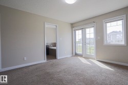 Carpeted room with neutral wall tones, white trim, and a ceiling light fixture - 