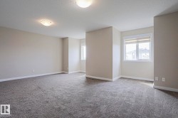 Spacious room with neutral-toned walls, gray carpet, multiple windows, and two ceiling-mounted light fixtures - 