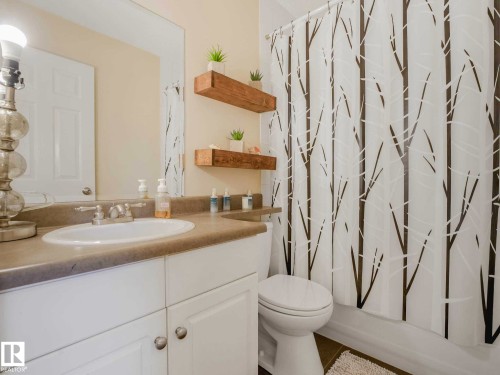 4031 38 Street Nw, Edmonton, AB - Indoor Photo Showing Bathroom