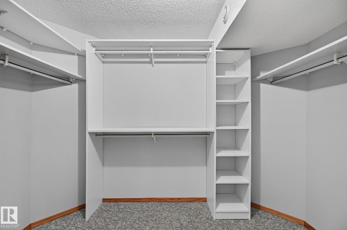 5814 181 Street Nw, Edmonton, AB - Indoor With Storage