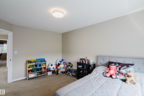 16345 134 Street Nw, Edmonton, AB - Indoor Photo Showing Bedroom