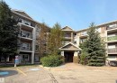 Multi-story building with a stone-accented entrance, individual balconies with black railings, and a mix of horizontal siding and stone exterior finishes - #6125 7331 South Terwillegar Dr Nw, Edmonton, AB  - Outdoor With Facade 