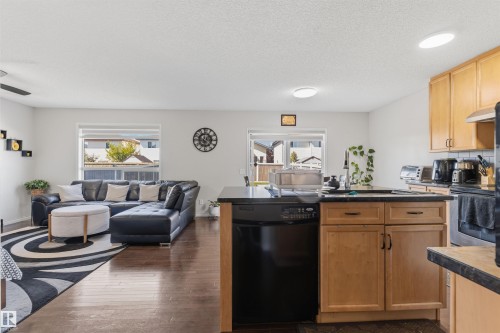 3760 12 Street Nw, Edmonton, AB - Indoor Photo Showing Kitchen With Double Sink