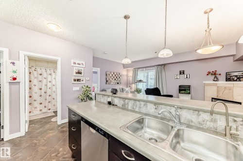 #211 9750 94 St Nw, Edmonton, AB - Indoor Photo Showing Kitchen With Double Sink