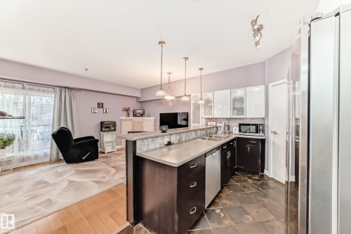 #211 9750 94 St Nw, Edmonton, AB - Indoor Photo Showing Kitchen With Double Sink