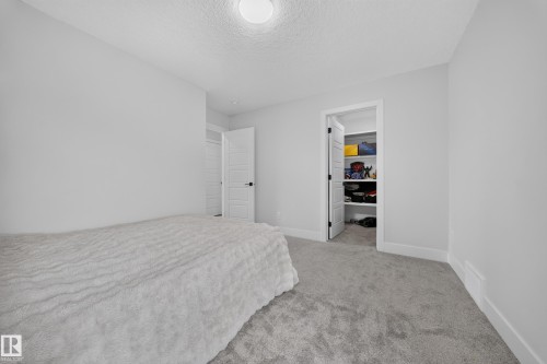 Light gray wall color, plush gray carpeting, white trim, and a built-in closet with shelving - 3217 Pelerin Crescent, Beaumont, AB - Indoor Photo Showing Bedroom
