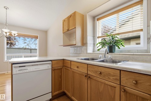 #10 9 Dechene Rd Nw, Edmonton, AB - Indoor Photo Showing Kitchen With Double Sink