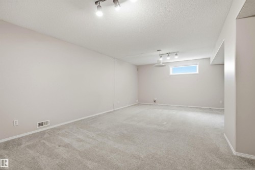 #10 9 Dechene Rd Nw, Edmonton, AB - Indoor Photo Showing Basement