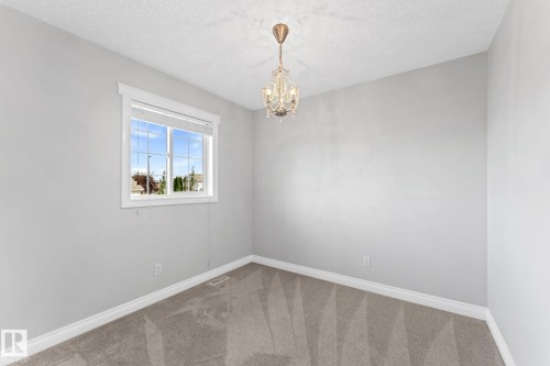 173 Castle Drive Nw, Edmonton, AB - Indoor Photo Showing Other Room