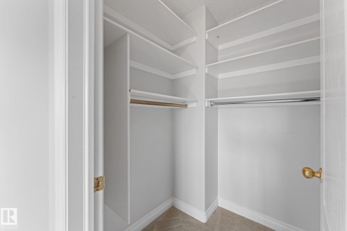 173 Castle Drive Nw, Edmonton, AB - Indoor With Storage