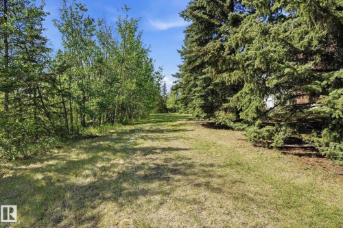 Expansive grassy area bordered by mature evergreen and deciduous trees - #215 4404 122 St Nw, Edmonton, AB - Outdoor With View