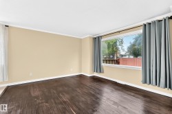 Wood-finish flooring, crown molding, and a large window with white trim - 