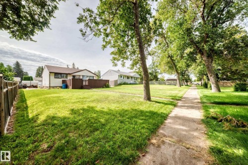 Expansive grassy yard with mature trees, a wooden privacy fence, and a concrete walkway - 50 Rocque, Fort Saskatchewan, AB - Outdoor