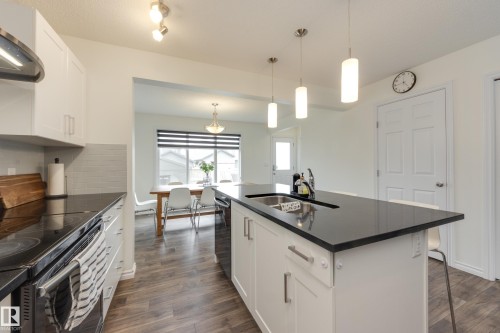 22123 88 Avenue Nw, Edmonton, AB - Indoor Photo Showing Kitchen With Double Sink With Upgraded Kitchen