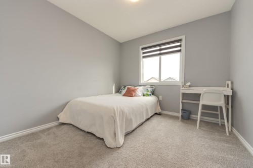 22123 88 Avenue Nw, Edmonton, AB - Indoor Photo Showing Bedroom