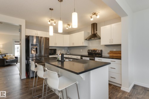 22123 88 Avenue Nw, Edmonton, AB - Indoor Photo Showing Kitchen With Double Sink With Upgraded Kitchen