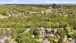 Expansive neighborhood featuring abundant mature trees and a mix of residential and commercial structures - 