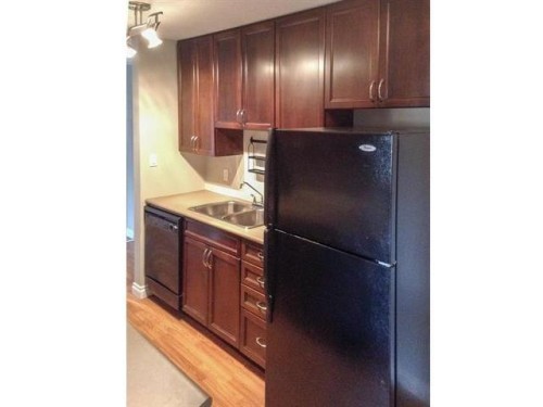 #306 10415 93 St Nw, Edmonton, AB - Indoor Photo Showing Kitchen With Double Sink