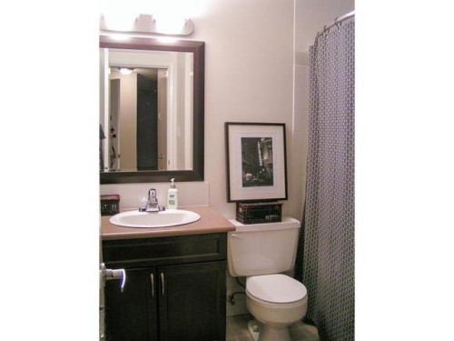 #306 10415 93 St Nw, Edmonton, AB - Indoor Photo Showing Bathroom