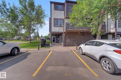 Assigned parking space with clear yellow markings - 1096 Knottwood Road Nw, Edmonton, AB - Outdoor