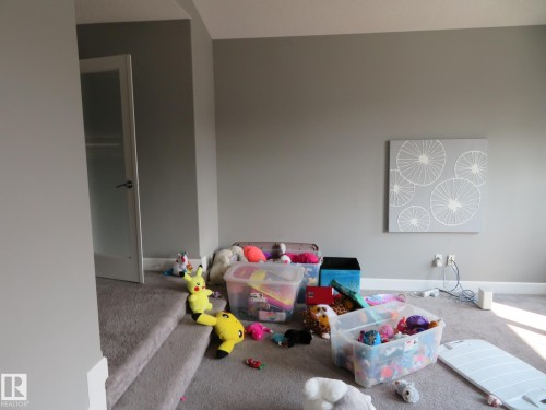 Additional content - 3233 Winspear Crescent Sw, Edmonton, AB - Indoor