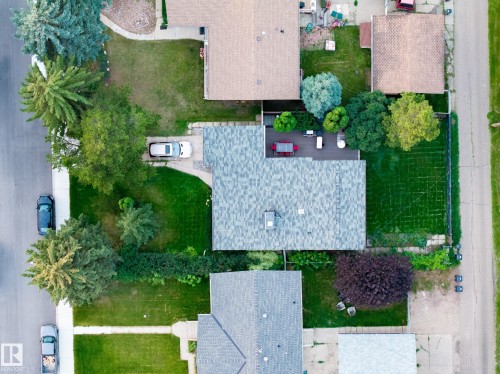 Expansive lot featuring mature trees, a driveway, and a large grassy area - 9059 52 Street Nw, Edmonton, AB - Outdoor