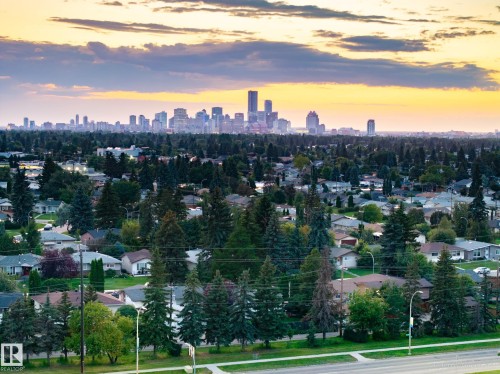 Expansive urban landscape featuring a distant city skyline, mature trees, residential rooftops, and a wide street - 9059 52 Street Nw, Edmonton, AB - Outdoor With View