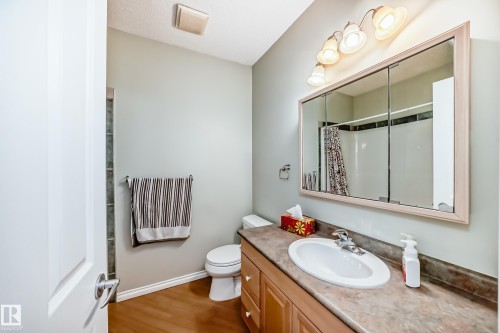 576 Glenwright Crescent Nw, Edmonton, AB - Indoor Photo Showing Bathroom