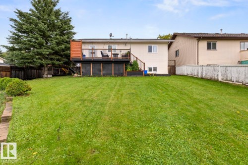Expansive green lawn, raised wooden deck, privacy fencing, mature evergreen tree, and planted shrubs - 5330 43 Street, Cold Lake, AB - Outdoor