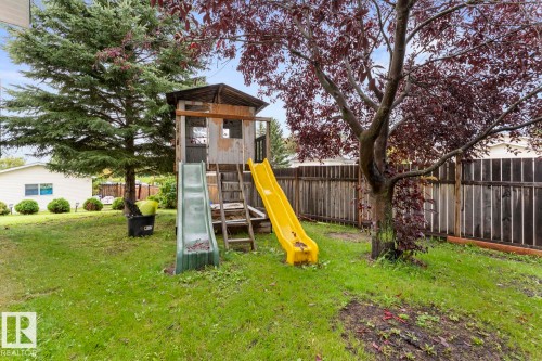 Expansive backyard featuring a mature evergreen tree, established deciduous tree, wood privacy fence, and a multi-level play structure with two slides - 5330 43 Street, Cold Lake, AB - Outdoor