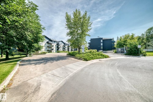 Paved access road with central landscaping and surrounding mature trees - #216 17003 67 Av Nw, Edmonton, AB - Outdoor