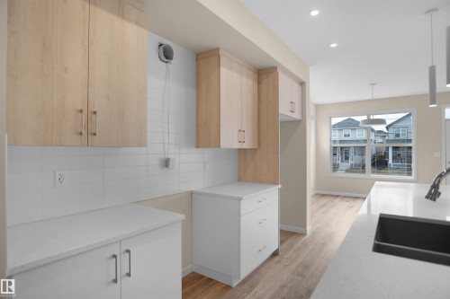 22915 95 Avenue Nw, Edmonton, AB - Indoor Photo Showing Kitchen With Double Sink