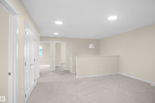 22915 95 Avenue Nw, Edmonton, AB - Indoor Photo Showing Other Room