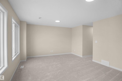 22915 95 Avenue Nw, Edmonton, AB - Indoor Photo Showing Other Room