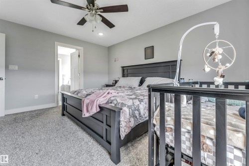 2639 17 Avenue Nw, Edmonton, AB 