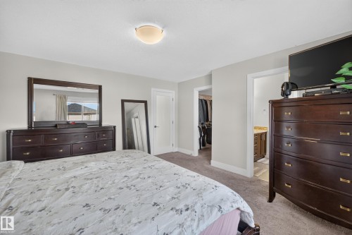 Neutral wall paint, ceiling-mounted light fixture, carpet flooring, interior doors, and a visible walk-in closet - 3685 Claxton Place Sw, Edmonton, AB 