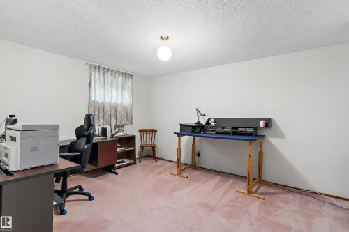 Recessed window, ceiling-mounted light fixture, and carpeted flooring - 17724 94 Street Nw, Edmonton, AB 