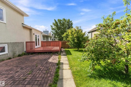 Expansive backyard featuring a manicured lawn, a concrete pathway, a wooden privacy fence, mature trees, and a brick paver patio - 17724 94 Street Nw, Edmonton, AB 