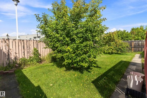 Grassed backyard featuring a mature tree, paved pathway, and wood fencing - 17724 94 Street Nw, Edmonton, AB 