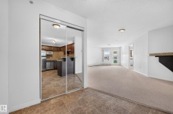 Mirrored sliding doors, carpet flooring, tile flooring, built-in shelving, and double doors - 