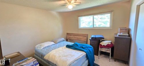 Window with exterior foliage, ceiling fan with light fixture, neutral wall color, and carpeted flooring - 5706 52 Street, Vegreville, AB 