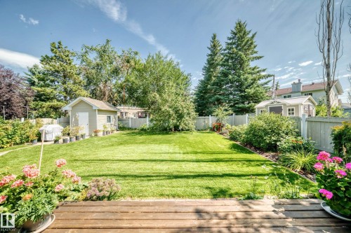 Expansive backyard featuring a meticulously manicured lawn, mature landscaping with evergreen and deciduous trees, vibrant flowering shrubs, a wooden deck, and detached storage structures - 4327 49 Street Nw, Edmonton, AB 