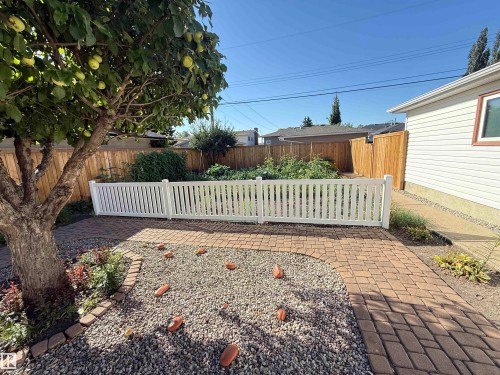 Charming backyard retreat featuring a mature shade tree, brick and gravel hardscaping, and a classic white picket fence - 7007 91 Avenue Nw, Edmonton, AB 