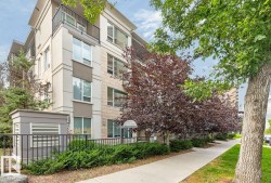 #308 9907 91 AV NW  Edmonton, AB T6E 2T7